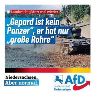 „Der Gepard ist kein Panzer“